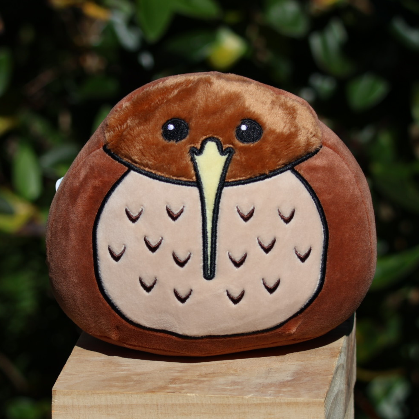 Plushenz Kiwi (Small) - 16cm x 18cm