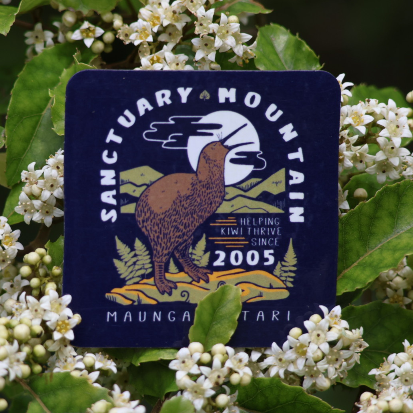 Magnet - Sanctuary Mountain KIWI