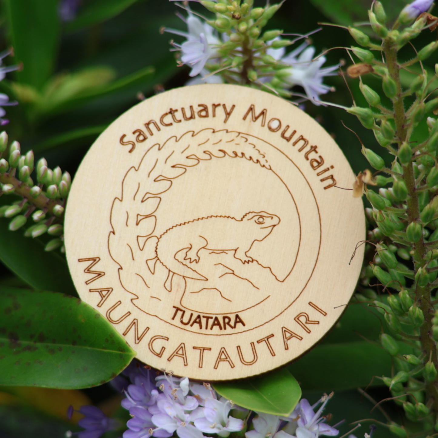 Magnet - Paul Cooper, Tuatara