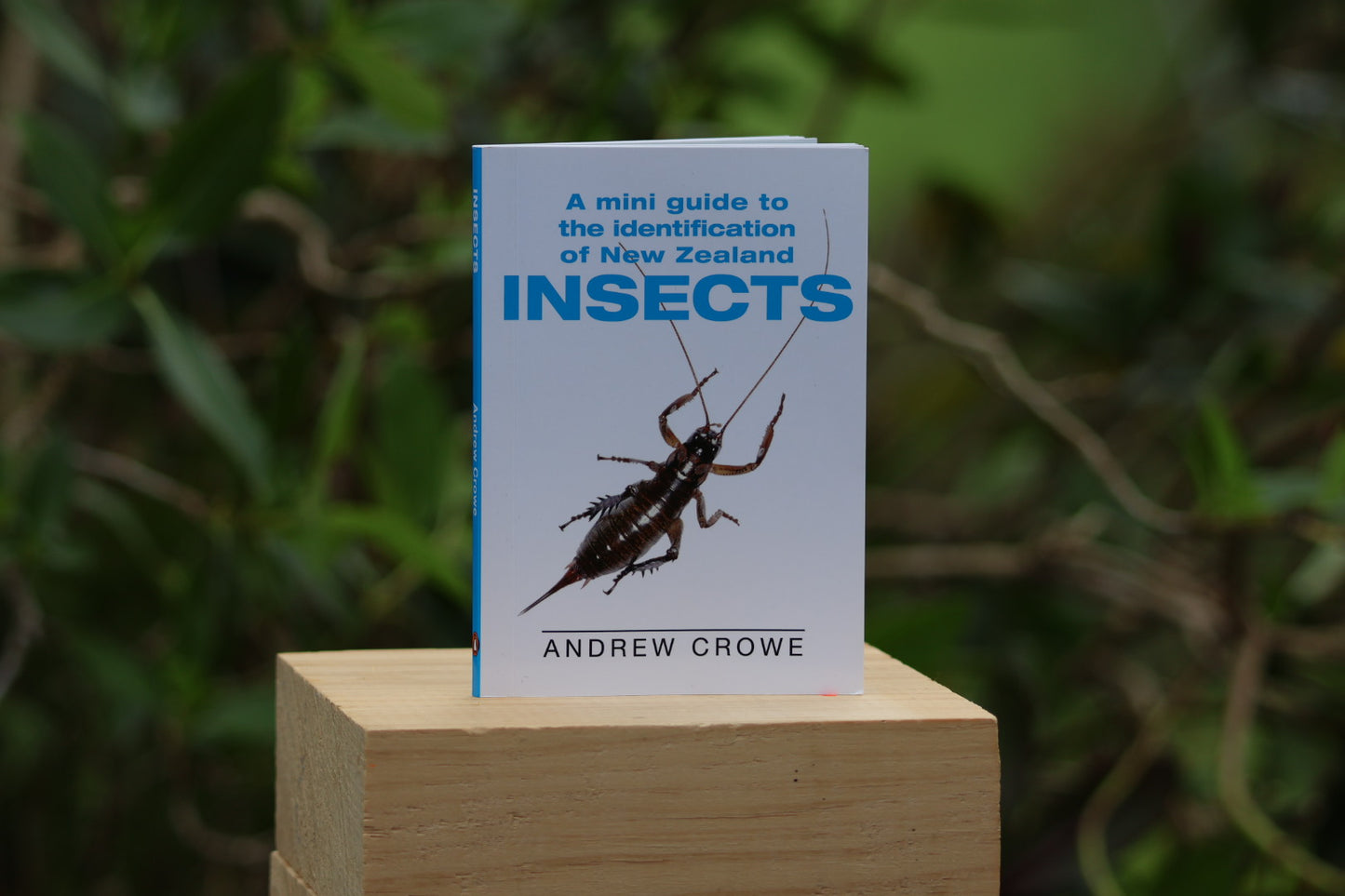 A Mini Guide to the Identification of New Zealand Insects by Andrew Crowe