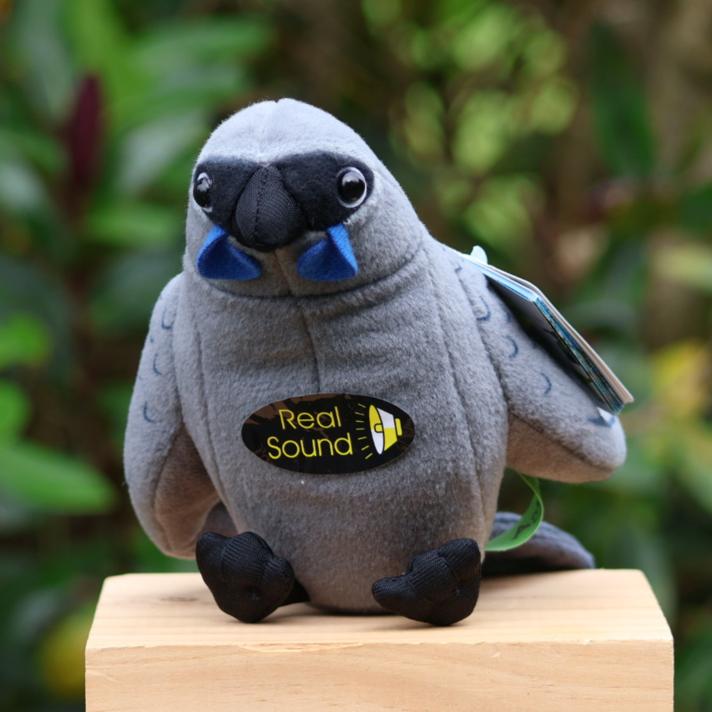 Soft Toy with Sound Kokako - 15cm