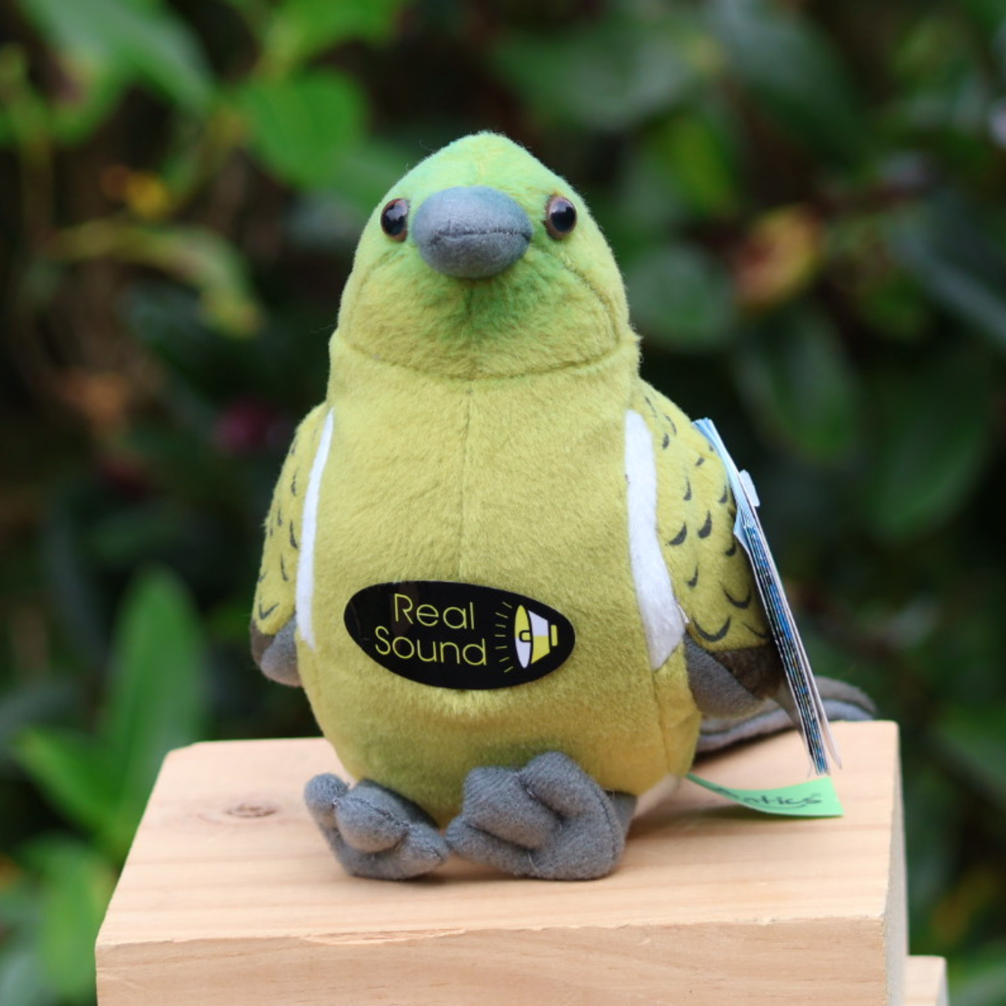 Soft Toy with Sound Korimako, Bellbird - 15cm
