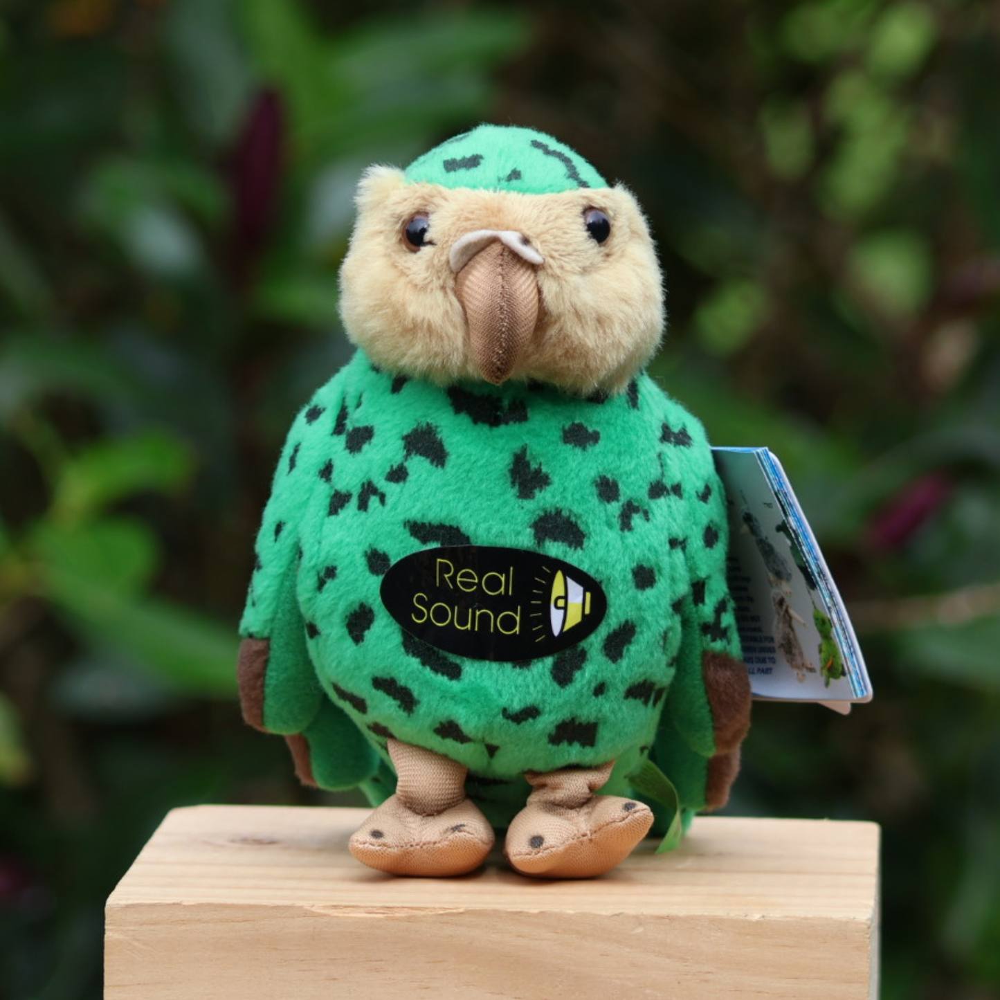 Soft Toy with Sound Kakapo - 15cm