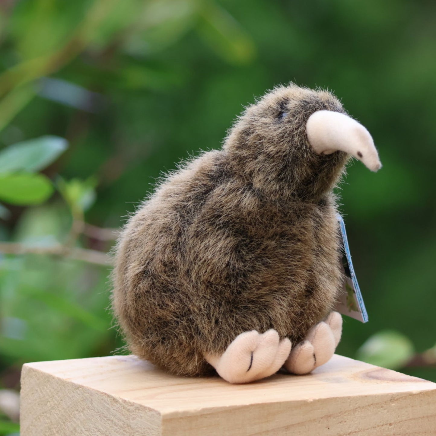 Soft Toy with Sound Kiwi - 12cm