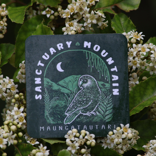Magnet - Sanctuary Mountain KAKAPO
