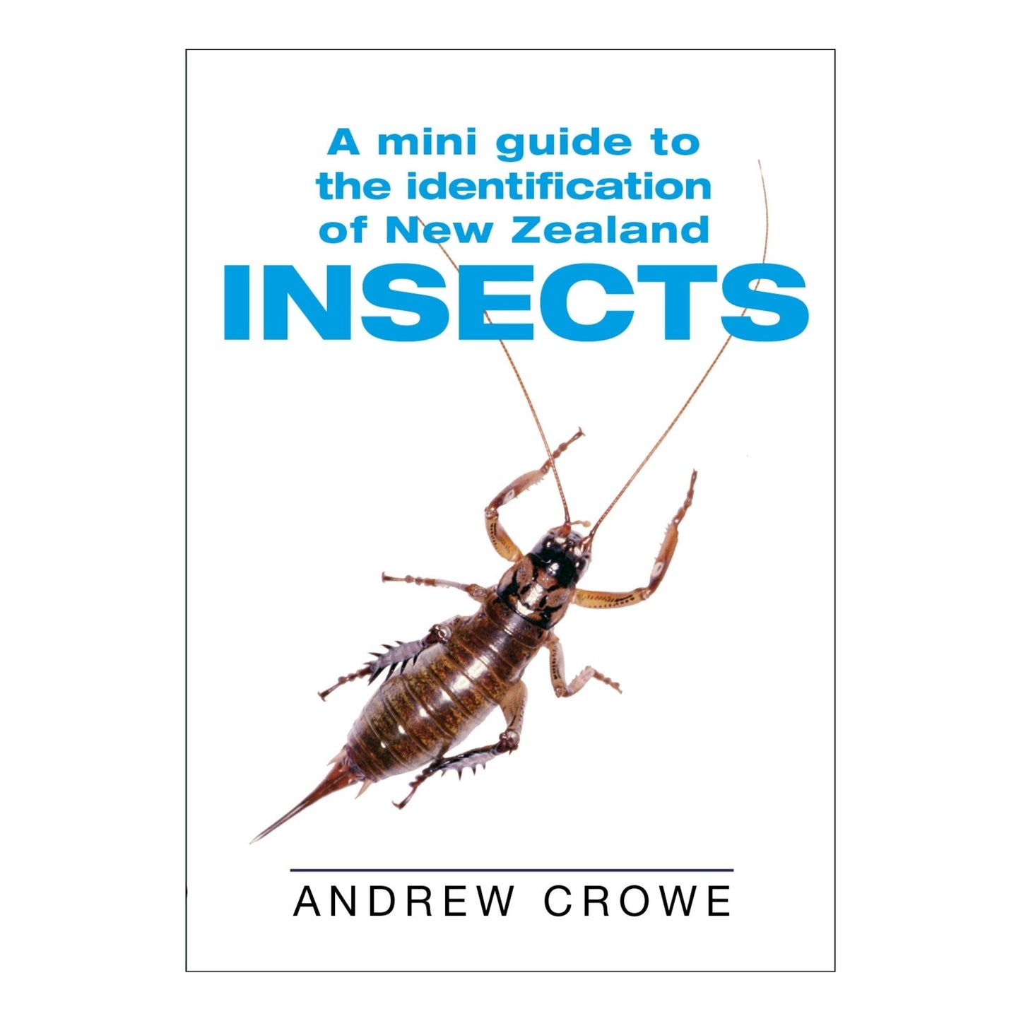 A Mini Guide to the Identification of New Zealand Insects by Andrew Crowe