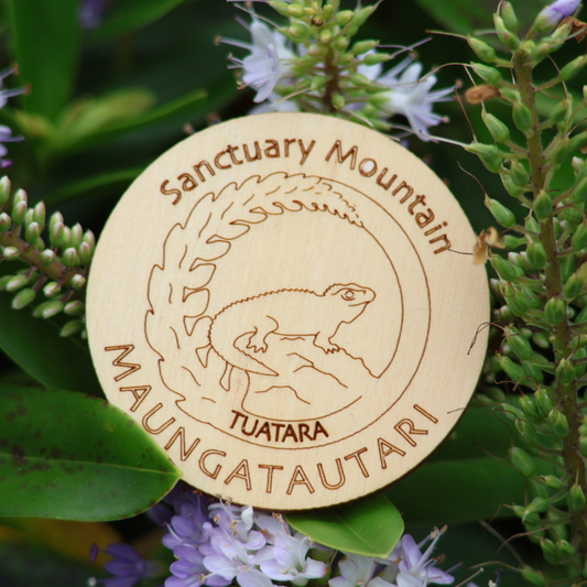 Magnet - Paul Cooper, Tuatara