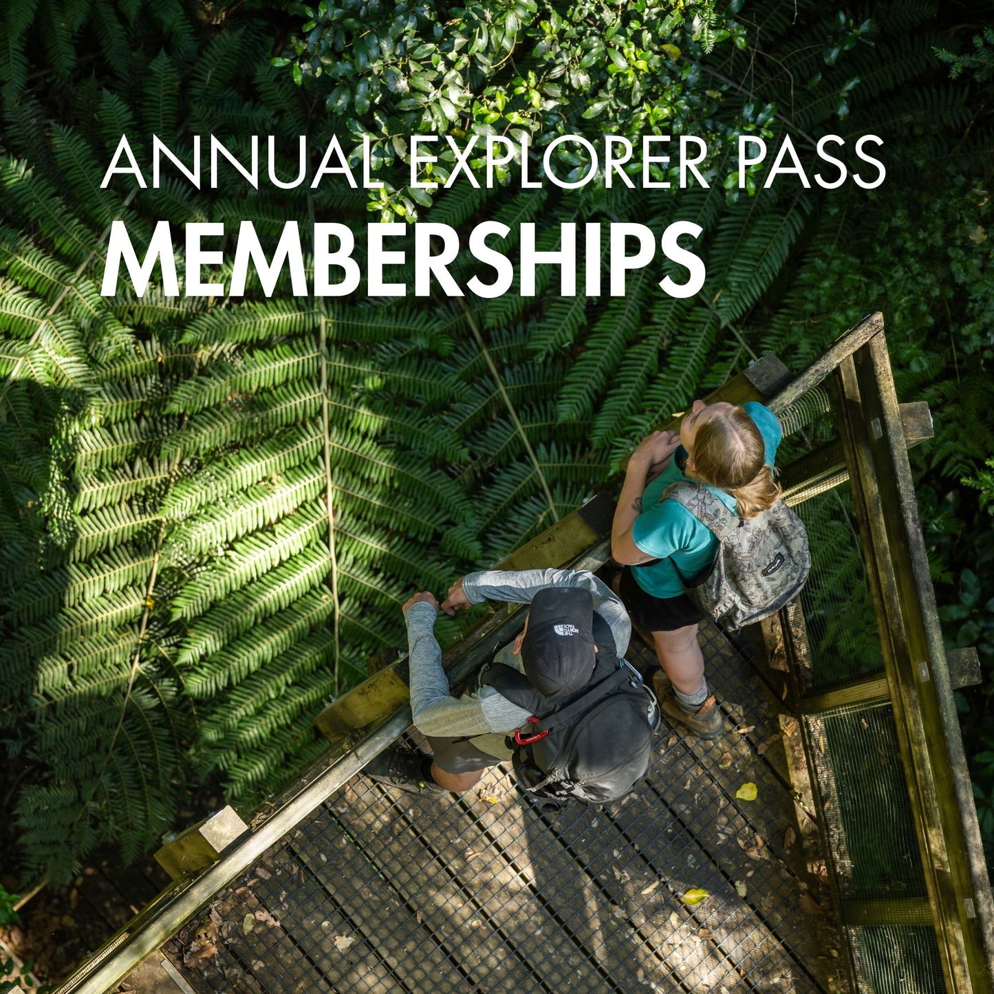 Annual Explorer Pass Memberships