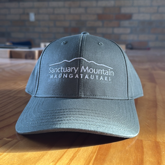 SMM Merch - Cap