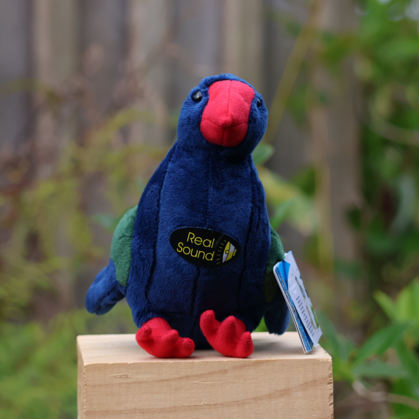 Soft Toy with Sound Takahe