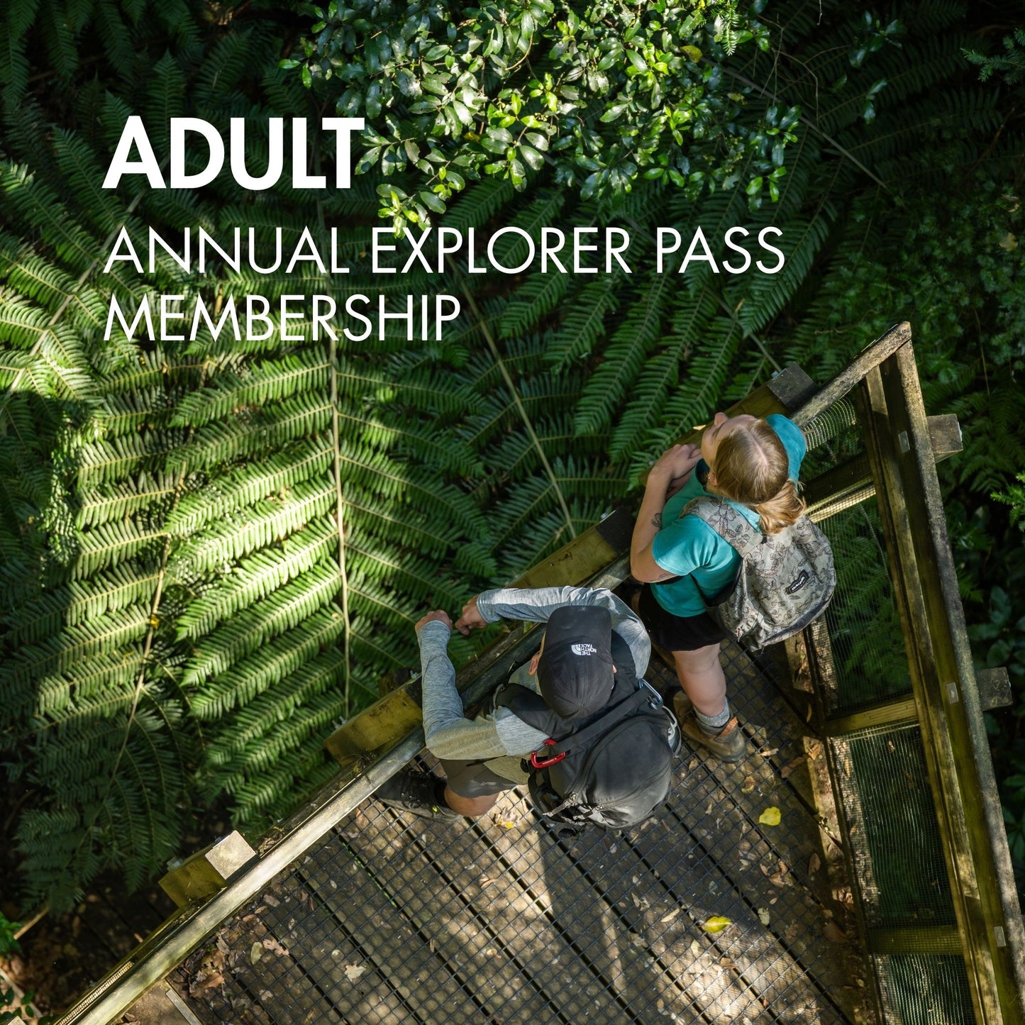 Annual Explorer Pass Memberships