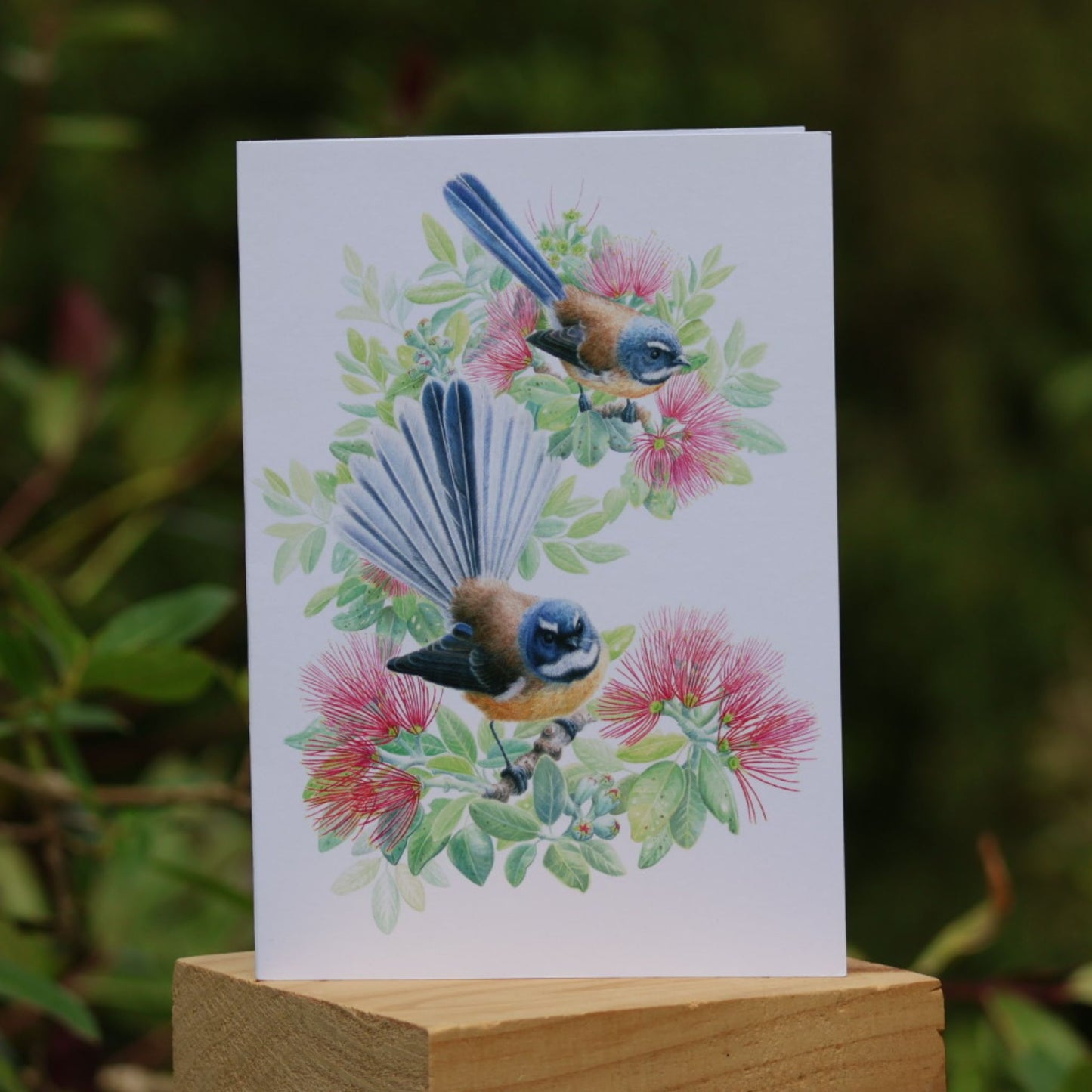 Cards - Heather Kilgour, A5