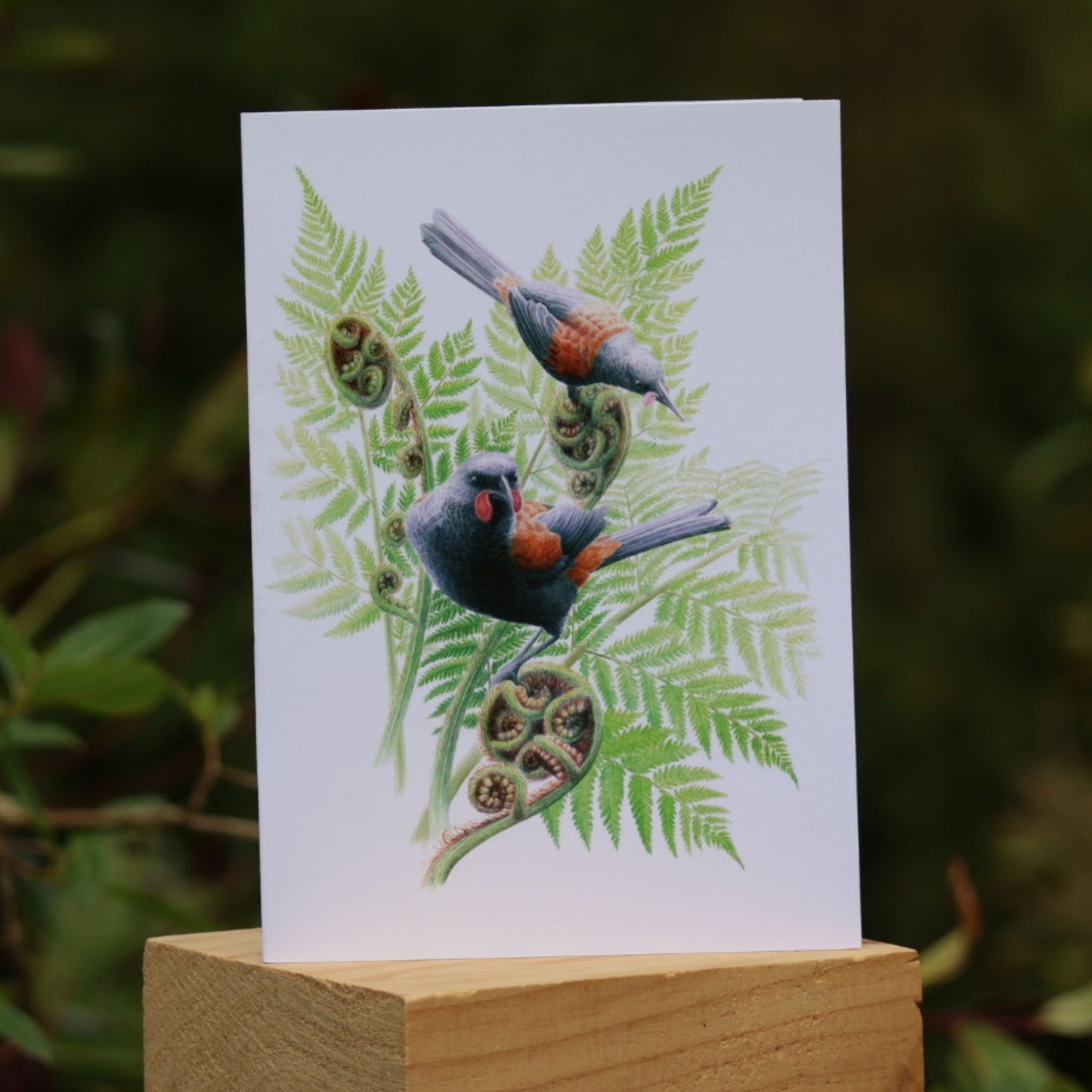 Cards - Heather Kilgour, A5