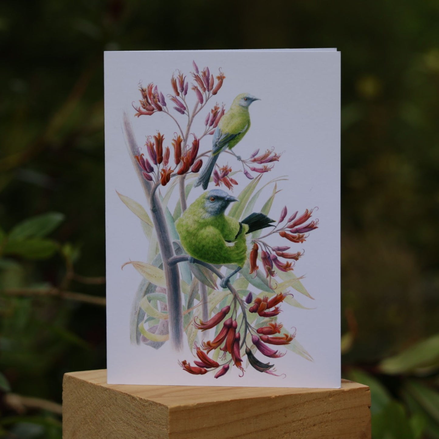 Cards - Heather Kilgour, A5