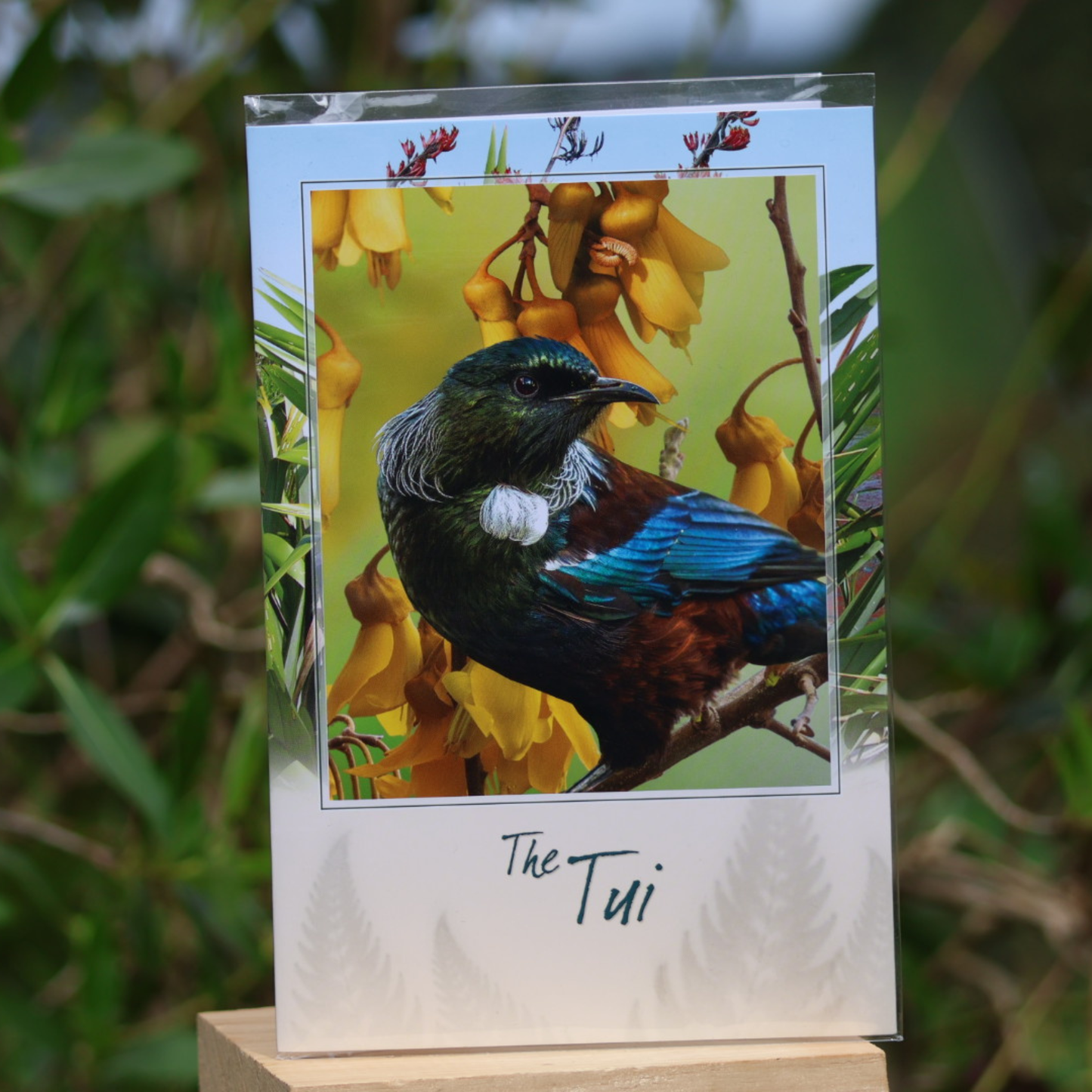 Cards - Wild Cards
