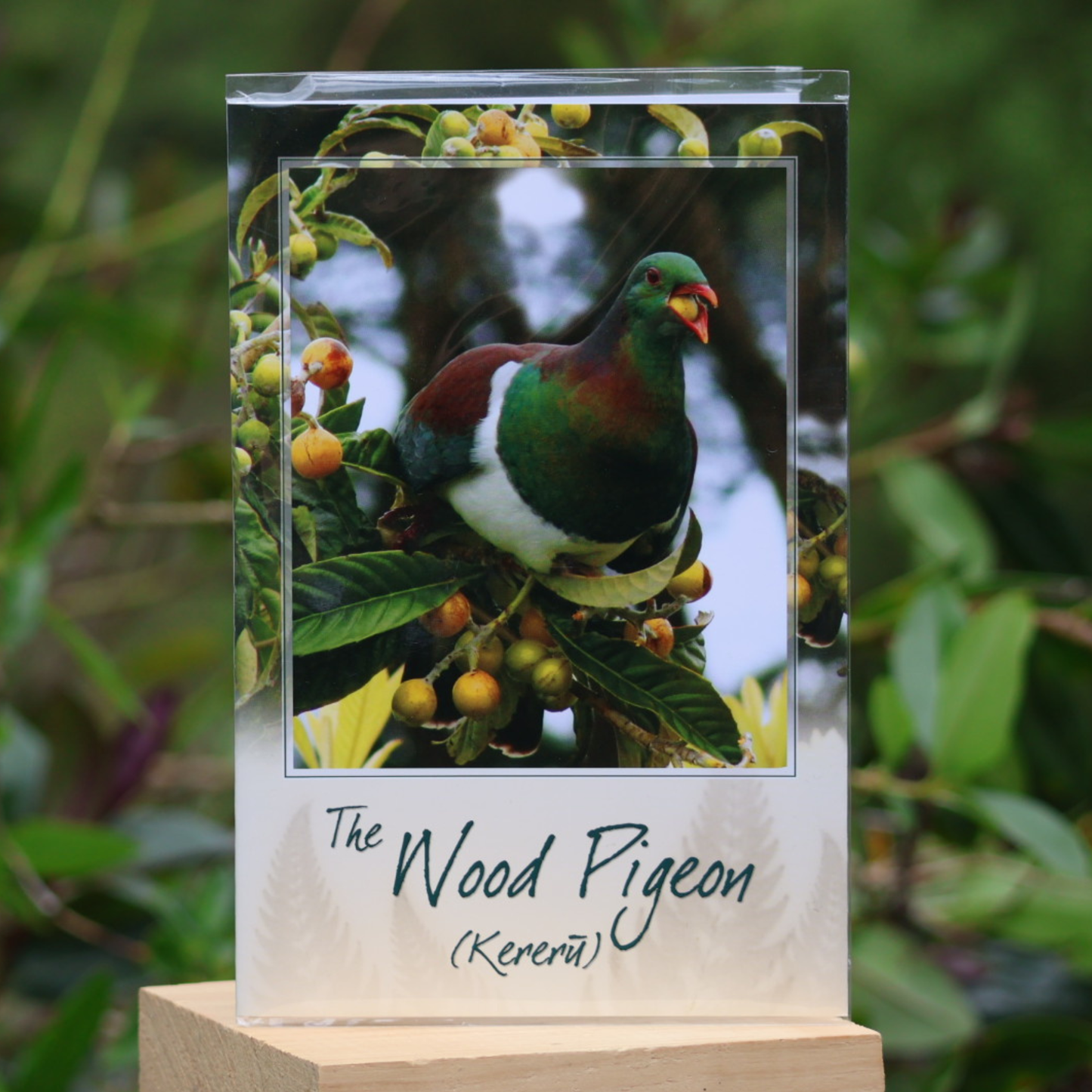 Cards - Wild Cards