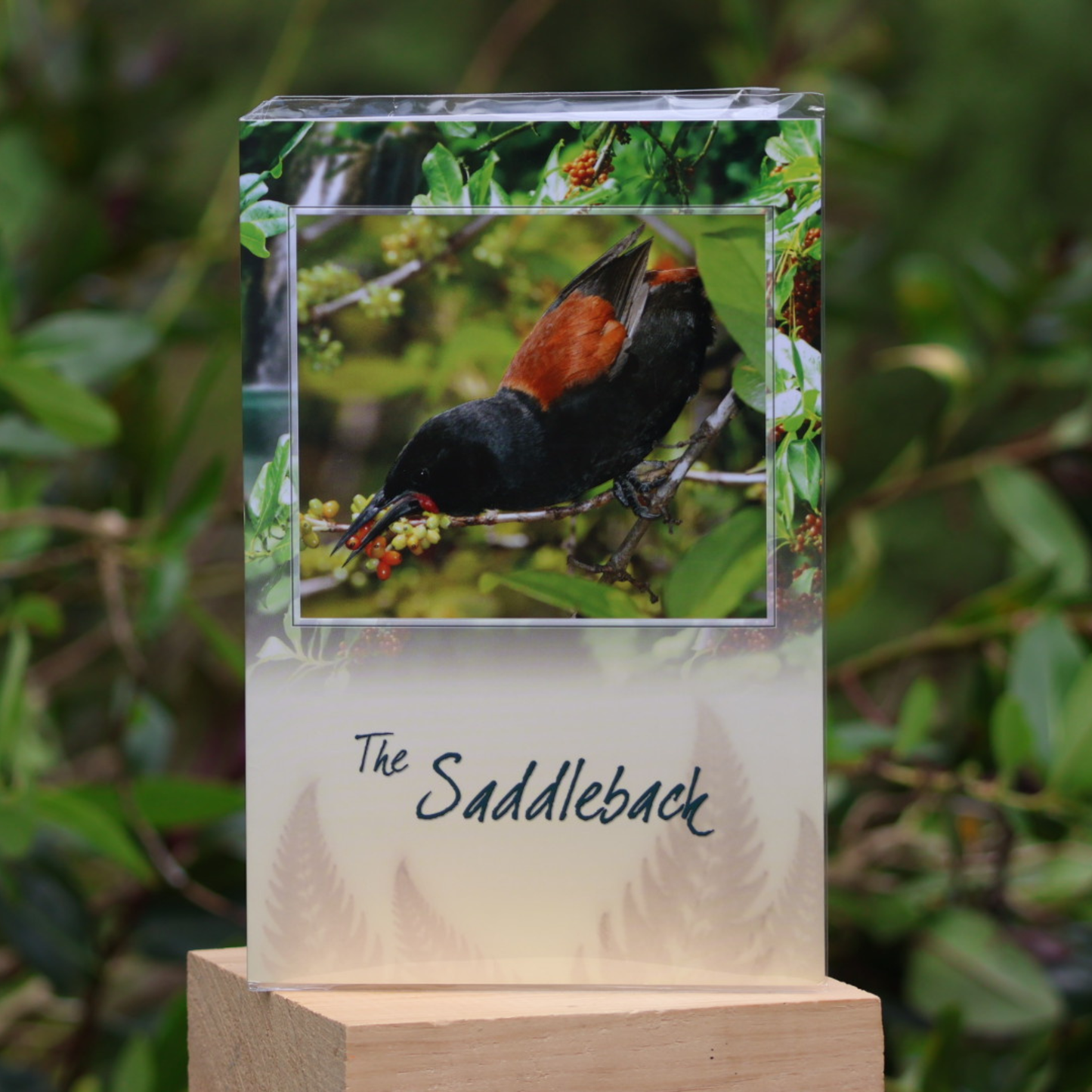 Cards - Wild Cards