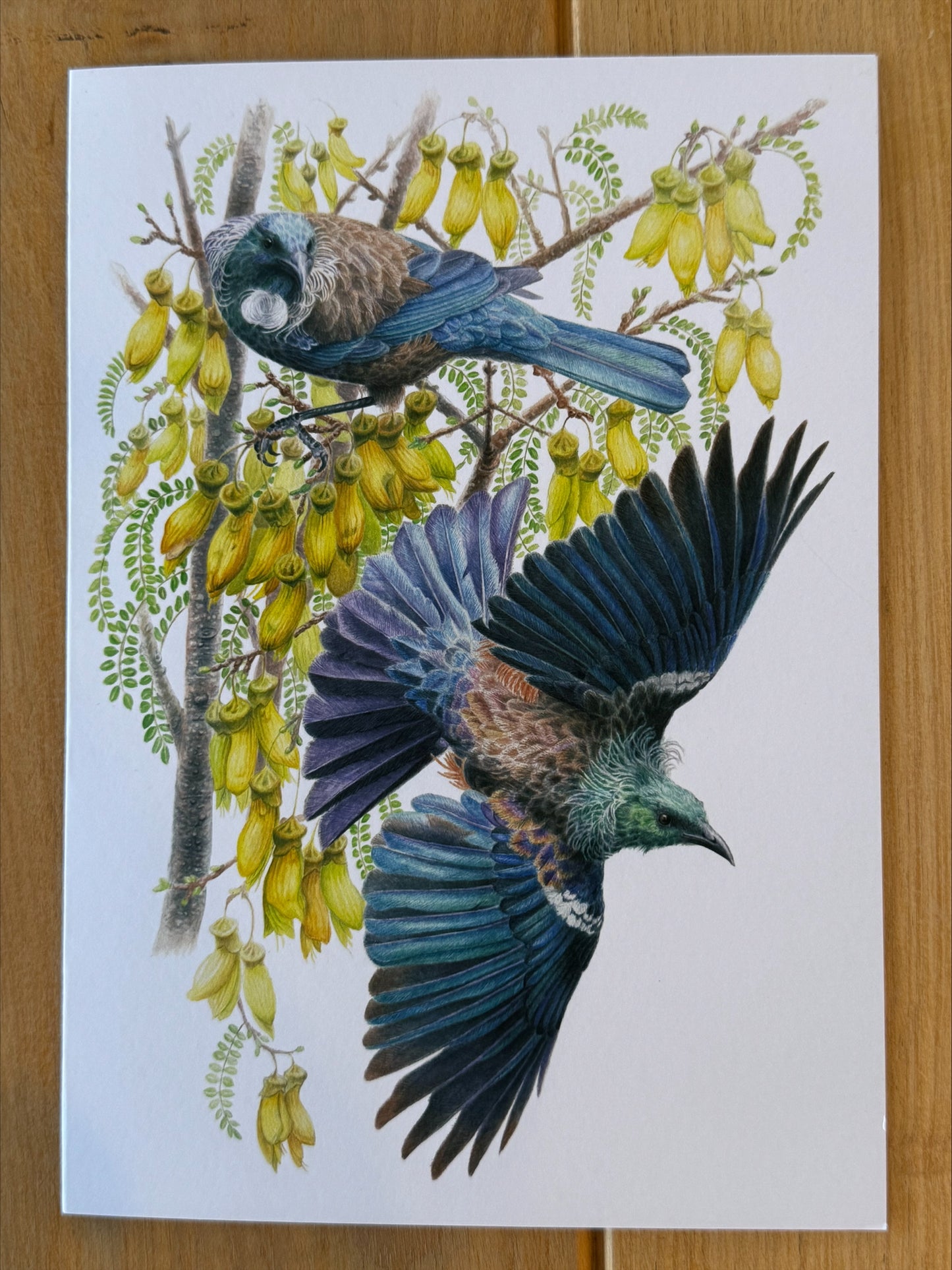 Cards - Heather Kilgour, A5